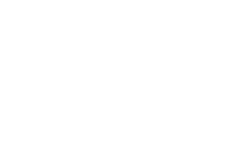 航空写真