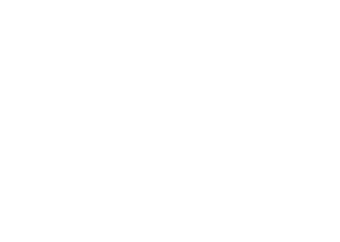 航空写真
